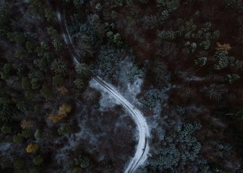 Ethereum Fractal Predicts Yearn.finance (YFI) Will Have a Large 2021