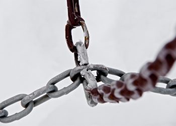 Info Shows New Investors Flooded into Chainlink in 2020 Upside Imminent?