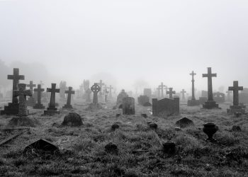 Ripple Lawsuit Triggers XRP Led Altcoin Apocalypse