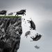 Why Bitcoin Bull Marketplace Shakeouts Are Healthy For Holders