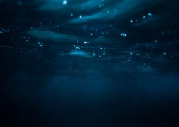 XRP Loses Even Far more Trade Assistance as Uncertainty Carries on