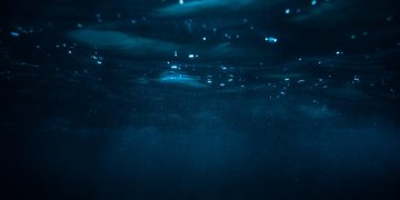XRP Loses Even Far more Trade Assistance as Uncertainty Carries on