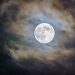 Bitcoin Could be Coiling Up for a Massive Press Larger as Bulls Consider Management