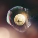 Could Mt Gox Be The Conclusion Of Nevertheless A different Epic Bitcoin Rally?