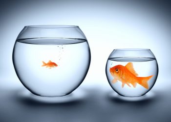 Ethereum “Anti-Community Effect” Shows “DeFi Has Outgrown” The Altcoin