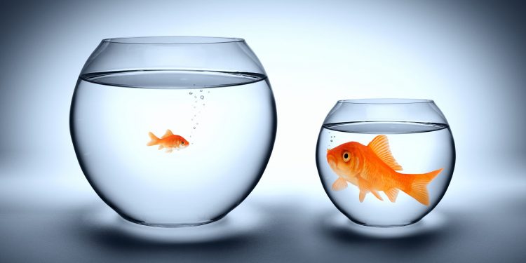 Ethereum “Anti-Community Effect” Shows “DeFi Has Outgrown” The Altcoin