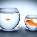 Ethereum “Anti-Community Effect” Shows “DeFi Has Outgrown” The Altcoin