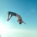 Here’s Why Coinbase Whales Contributed to Bitcoin’s Sub-$30,000 Plunge