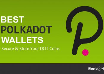 Ideal Polkadot Wallets – Top 8 DOT Wallets in 2021