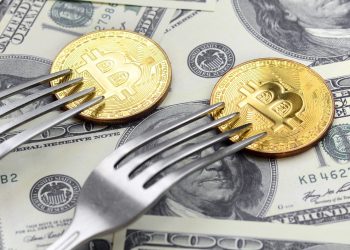 Kim Dotcom Statements This Fork Is Additional Undervalued Than Bitcoin, This is Why
