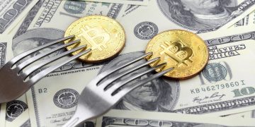 Kim Dotcom Statements This Fork Is Additional Undervalued Than Bitcoin, This is Why