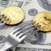 Kim Dotcom Statements This Fork Is Additional Undervalued Than Bitcoin, This is Why
