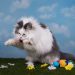 Ripple’s XRP Swells 40% In spite of Delisting Woes Useless Cat Bounce?