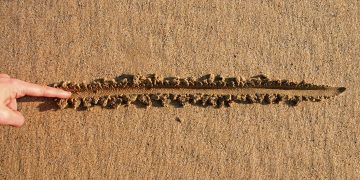 This is The Line Separating Bitcoin Dominance From Altcoin Time
