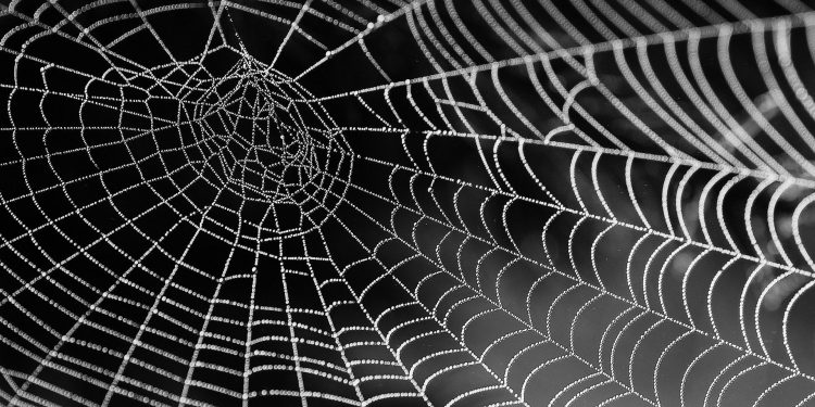 Why The Dim Net’s Most Energetic Sector Ditched Bitcoin For Monero