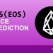 Will EOS Price Rise in 2021?