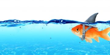 Altcoins Bleed Following Tesla Bitcoin Buy, BTC Dominance Hints At Deception