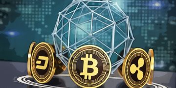 Beginning Your Investment Portfolio