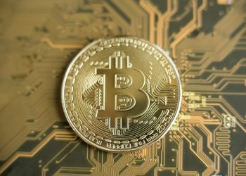Bitcoin Grows 37x In 4 Many years From Currently