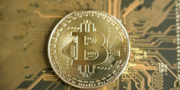 Bitcoin Grows 37x In 4 Many years From Currently