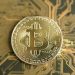 Bitcoin Grows 37x In 4 Many years From Currently