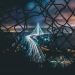 Crypto Market Analysis: 1st February 2021
