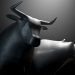 Polkadot (DOT) Rallies 10%, Why It Could Clear The $30 Hurdle