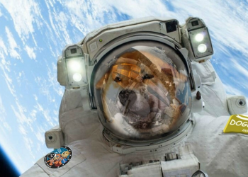 How Dogecoin Became So Popular