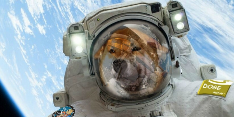 How Dogecoin Became So Popular