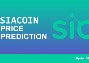 SiaCoin Price Prediction 2021-2025 | Can SiaCoin reach $1?