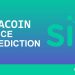 SiaCoin Price Prediction 2021-2025 | Can SiaCoin reach $1?
