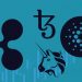 Value Prediction – Cardano (ADA), Ripple (XRP), Uniswap (UNI), Tezos (XTZ)