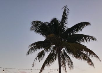 Mastercard Launches Prepaid Card for World’s First CBDC in Bahamas