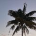 Mastercard Launches Prepaid Card for World’s First CBDC in Bahamas