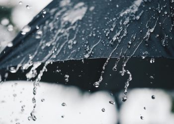 DeFi Insurer Nexus Mutual Raises $2.7M in NXM Token Sale