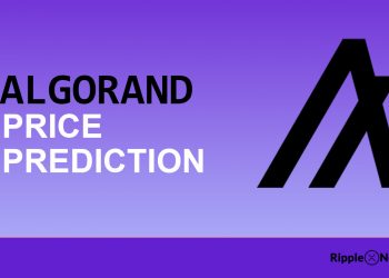 Algorand Price Prediction 2021-2025 | is ALGO a good Investment?