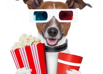 Analyst Claims It is “Showtime” For Ethereum