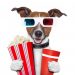 Analyst Claims It is “Showtime” For Ethereum