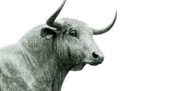 Bitcoin miners halt marketing, why it is bullish for BTC?