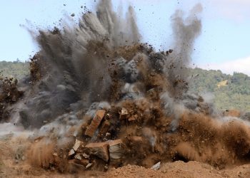 Cardano’s ADA Explodes 19% as Bitcoin Stagnates, NFT Trend Booms