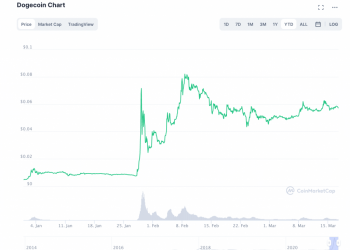 Dogecoin: From Reddit Meme to Elon Musk’s Obsession – the Evolution of DOGE