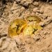 Fracking Businesses Pivot to Mining Bitcoin as Pandemic Woes Carry on to Bite