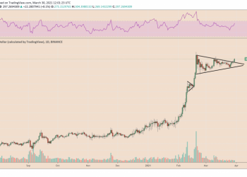PayPal FOMO Pushes Binance Coin (BNB) To 3-7 days Higher What’s Future?