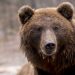 Bears Salivate As Bitcoin Regular Close Prospects To Indecision