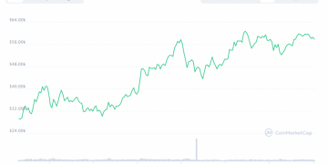 Bitcoin Price tag Looks Bullish as “Kimchi Quality” Surges to 11%
