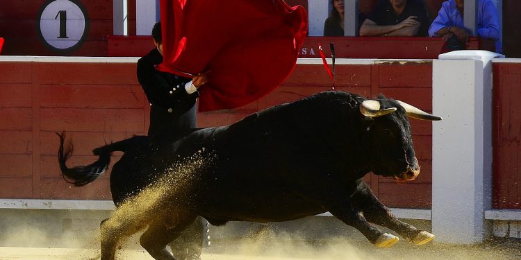 Bulls In Difficulty As $50,000 Is Misplaced
