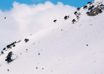 How Avalanche’s bridge to ETH and BTC could just take more than DeFi