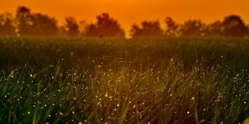 How IOTA Could Get to $1B In Token Locked Prior to Chrysalis 2