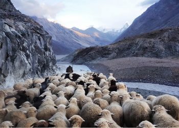 Is Crypto Ready For The Incoming Herd
