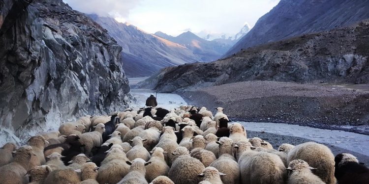 Is Crypto Ready For The Incoming Herd